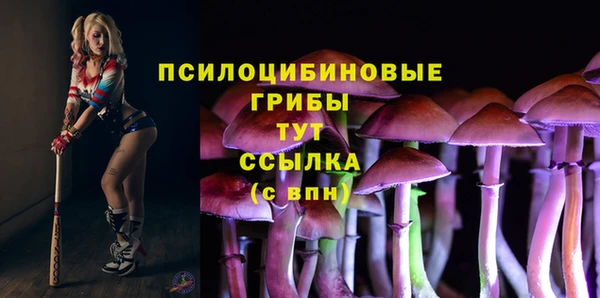 ALPHA PVP Новодвинск