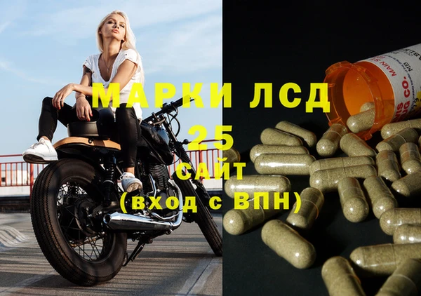 винт Алзамай
