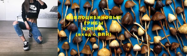 кокс Алексин