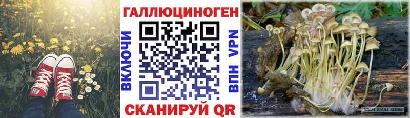 Галлюциногенные грибы MAGIC MUSHROOMS  продажа наркотиков  Уяр 